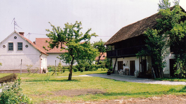 Hiša in gospodarski objekt pred obnovo. Hiša in gospodarski objekt pred obnovo.